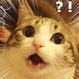 망고오렌지 프로필