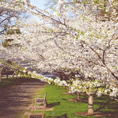 서리미 프로필