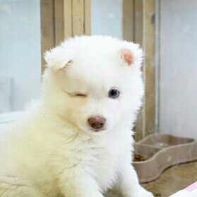 wkdbgod 프로필