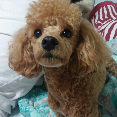 리뷰어 프로필