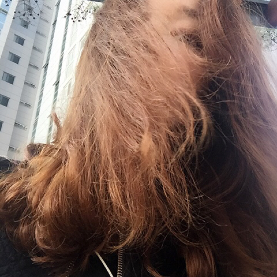 꼬미뀨 프로필