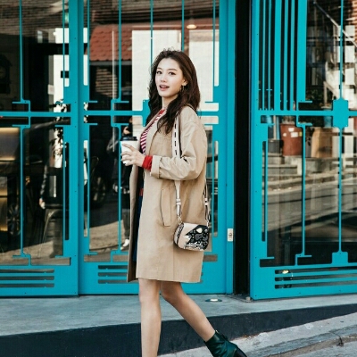 다잉잉 프로필