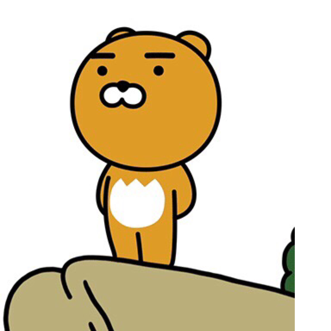 쿰직이 프로필