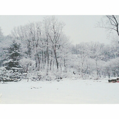 김샴밥 프로필