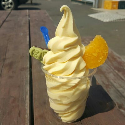 gopurin 프로필