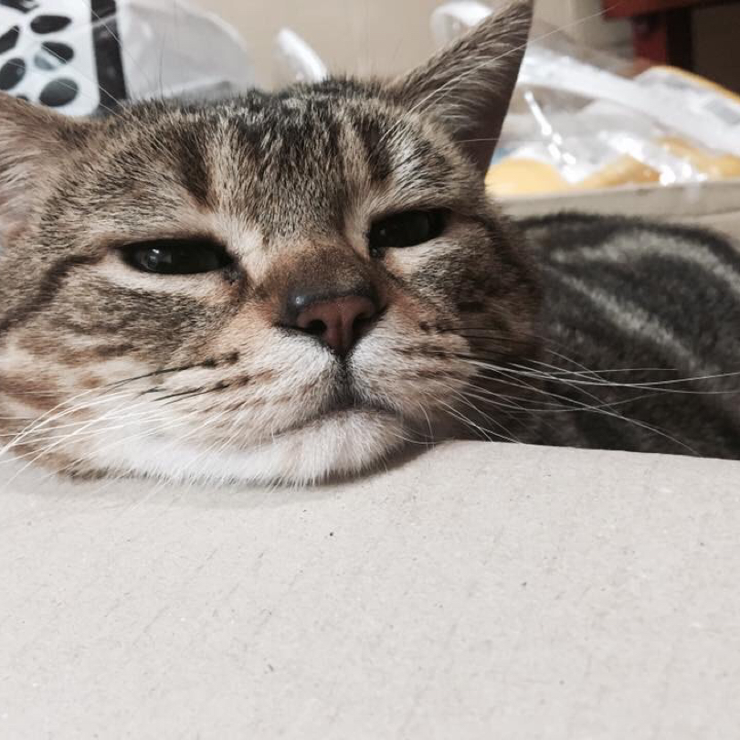 휘린 프로필