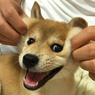 구뽀송 프로필