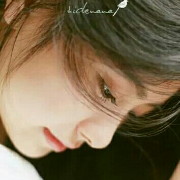 요들레이 프로필