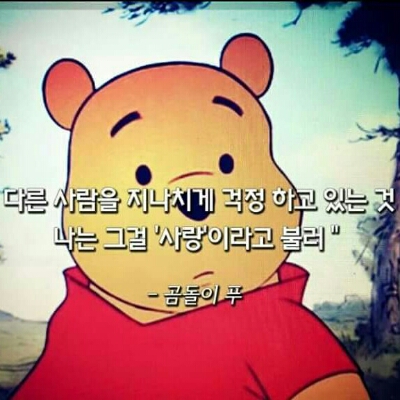 wildcherry 프로필