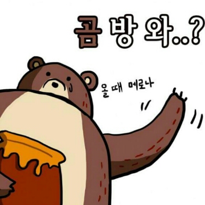 귤쨈 프로필