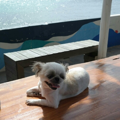 으뜸이 프로필