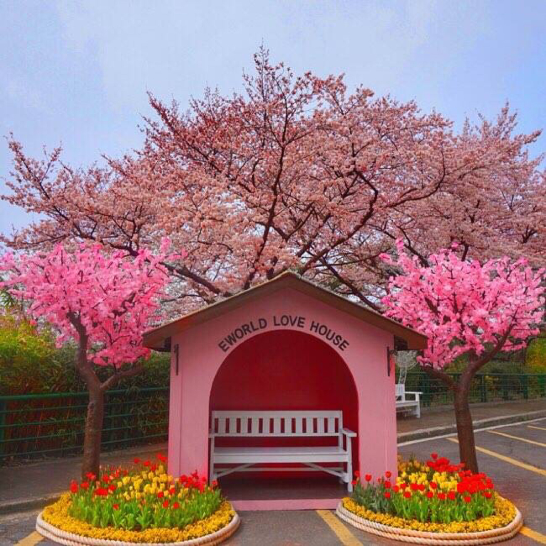 신명은 프로필