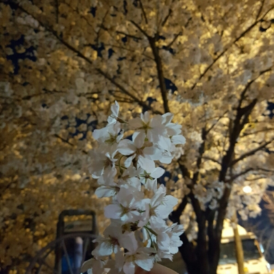 jeong9511 프로필