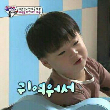 집둥 프로필