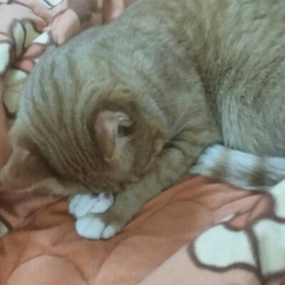 리뷰어 프로필