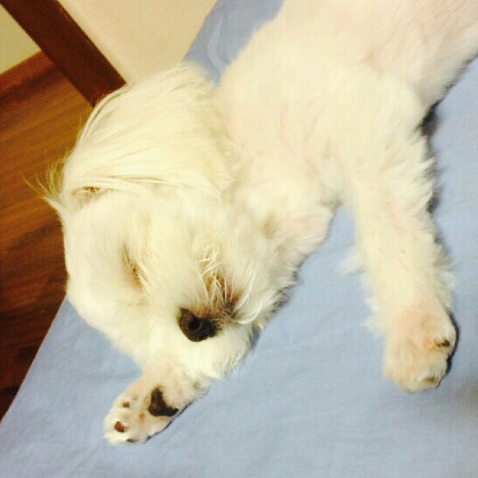 sooz 프로필