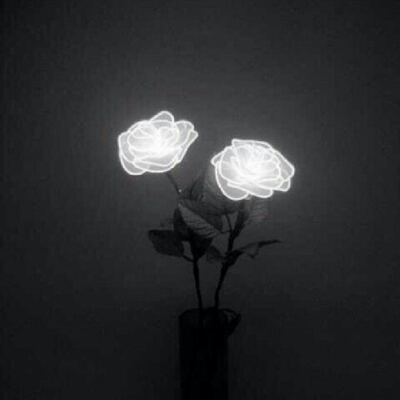 뜌딩 프로필
