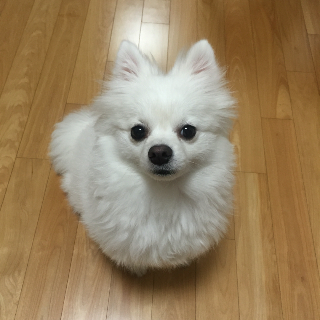 리뷰어 프로필