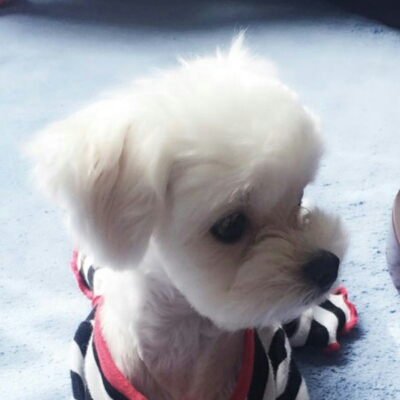 콩언니 프로필