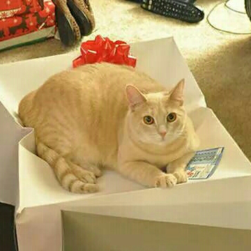 뀨루떡 프로필