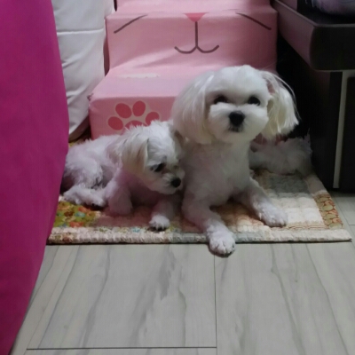 타잔제인맘 프로필