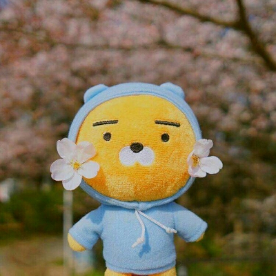 하니나니 프로필