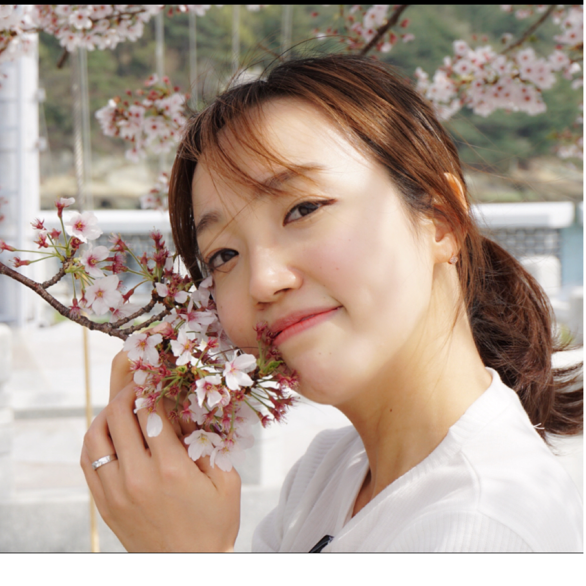 겸딩이뽀 프로필