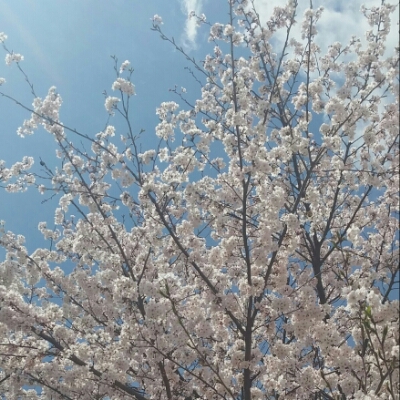joyce1 프로필