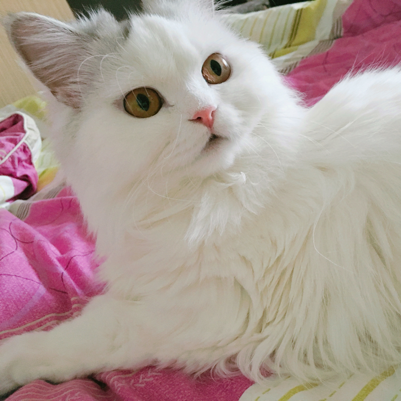 수현민성 프로필