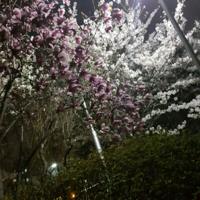 너글너글 프로필