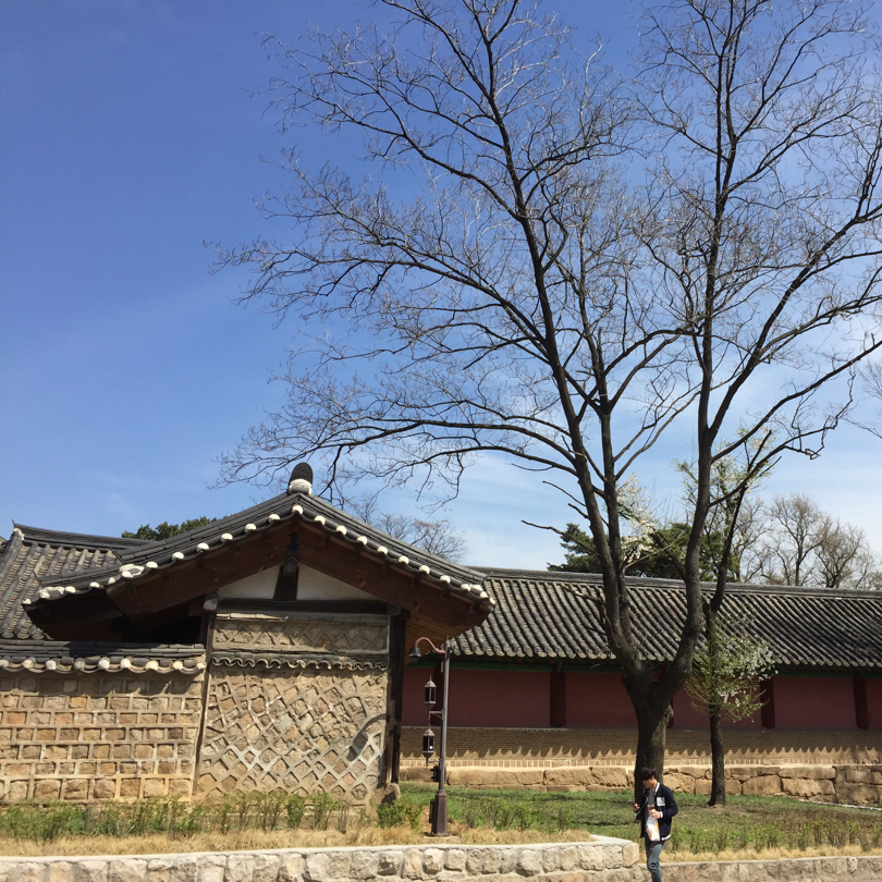 바카쑤 프로필