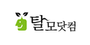 탈모닷컴 로고