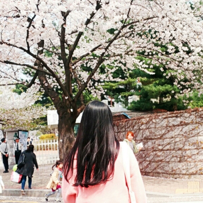 지센 프로필