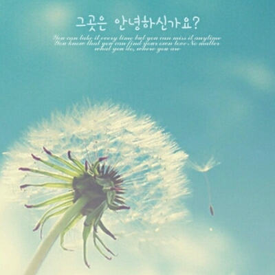 로빈랜드 프로필