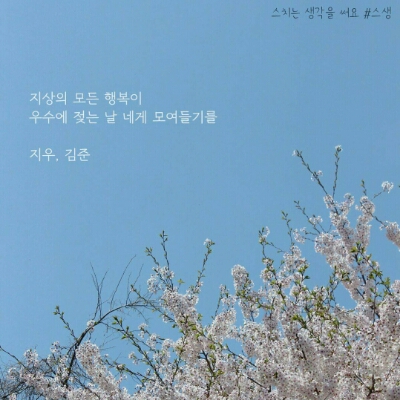 김지우웅 프로필