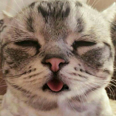 yeoungi1004 프로필
