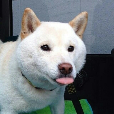 리뷰어 프로필
