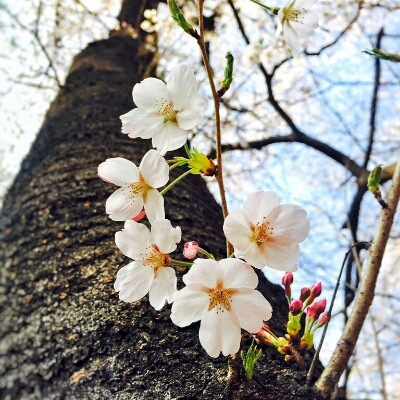 엄즤 프로필