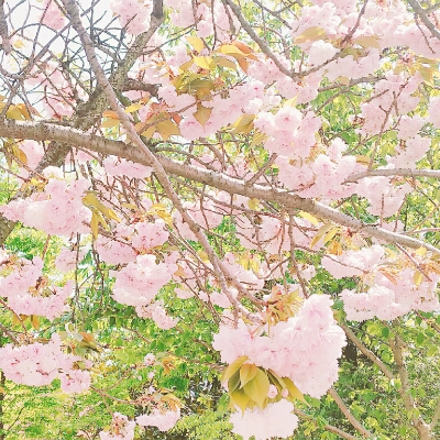리뷰어 프로필