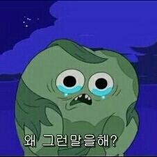 시유 프로필