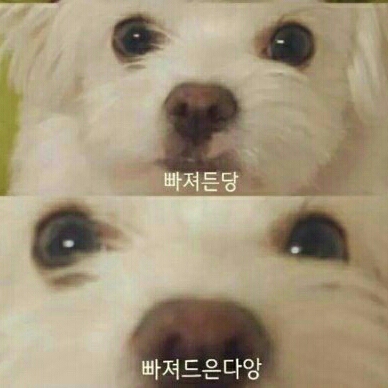 너같아서 프로필