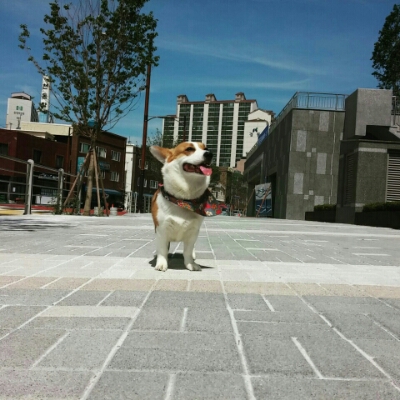 호랭 프로필