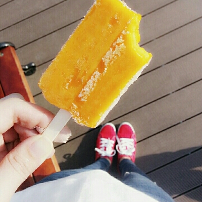 슈니슈니슌 프로필