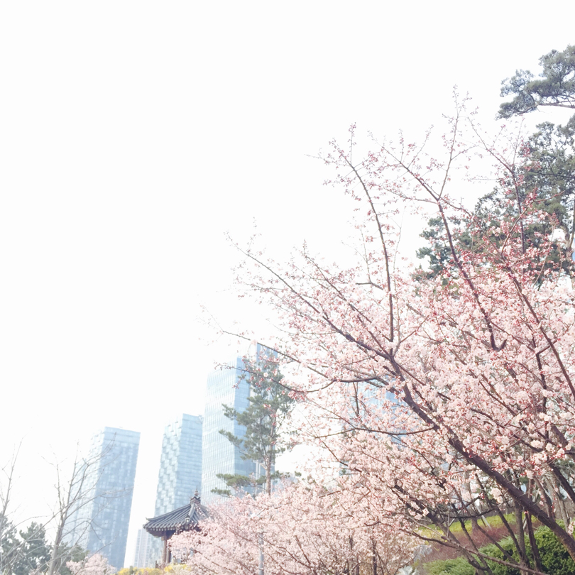 uzin4 프로필