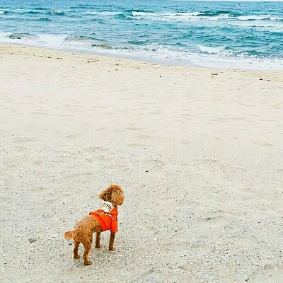 냐디댜 프로필