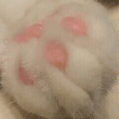 구름향수 프로필