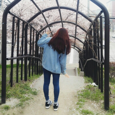 pdg221 프로필