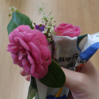 픽샤 프로필