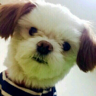 애기집 프로필