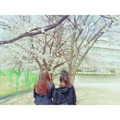 머렝 프로필